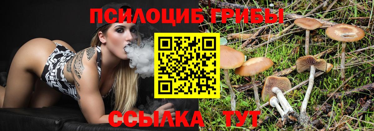 Галлюциногенные грибы Psilocybine cubensis Мичуринск