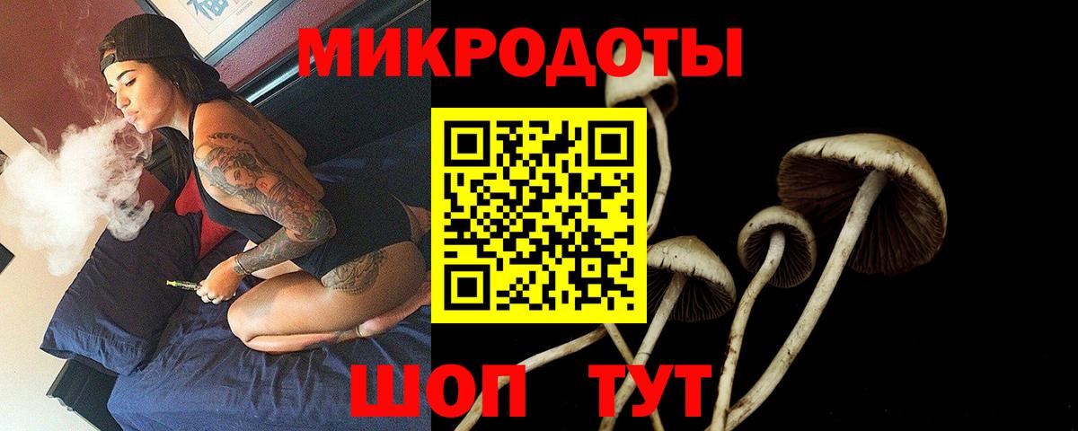 Псилоцибиновые грибы прущие грибы  Вход с VPN  Псилоцибиновые грибы мицелий  Мичуринск 